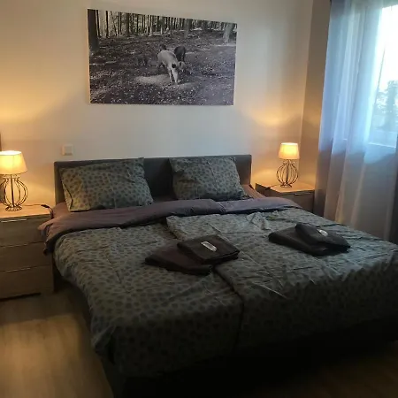 Comfortable 4-person Winterberg Apartment Medebach