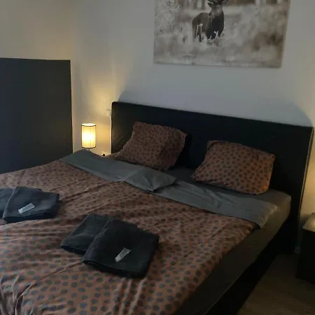 Comfortable 4-person Winterberg Apartment *